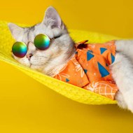 CARTOON KIDS FUNNY 310