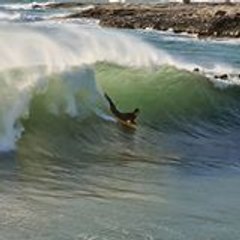 bodyboardmed