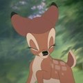 WaltDisney