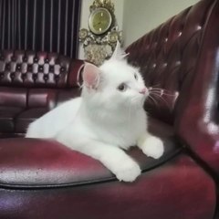 Ade Nurjanah