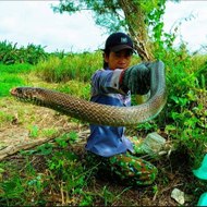 Hiếu Lãng Tử Vlog - Fish And Snake