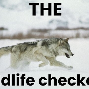 Wildlife check
