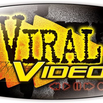 All Viral Video