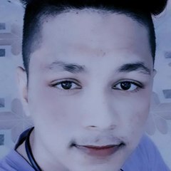 Moina