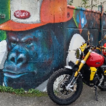 Profil DailyMotion de l&rsquo;utilisateur Street-Art et moto Fantic Caballero