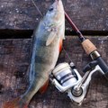 Fishing techniques