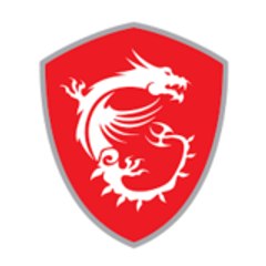 MSI France