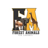 Forest Animals