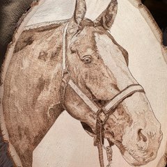 Everything Horses
