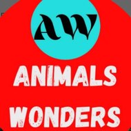 Animal Wonders 53