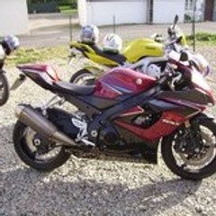 gexchauve