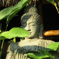 Meditation Sounds ☯