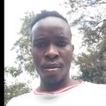 Lj music xll