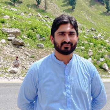 Malik Hasnain