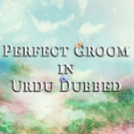 Perfect Groom in Urdu Dubbed - Şahane Damat