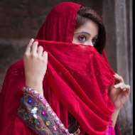 Music & Song Vibes 2025