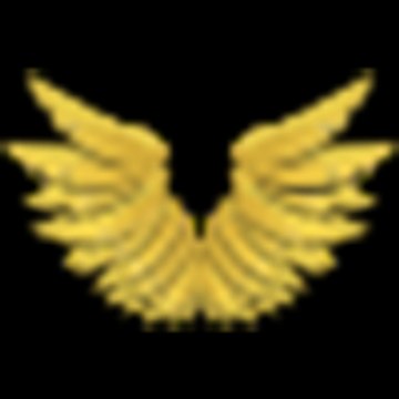 HOLYWIN99