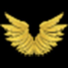 HOLYWIN99