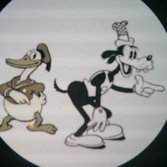 DonaldDuckandGoofyYES MickeyMouseAndMinnieMouseNO