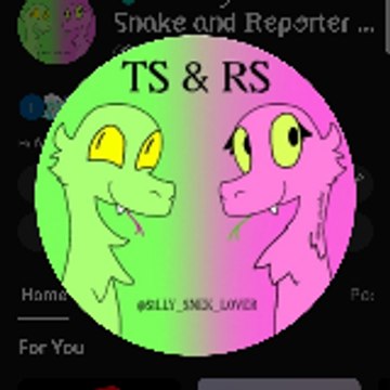 TS and RS