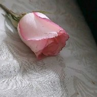 Motivation stories videos/ Islamic inspiration