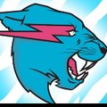 Mr beast videos