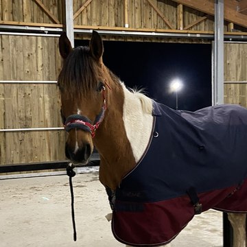 equi.byclo