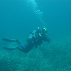 fred7583