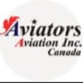 Art of Flying - Flight Operations