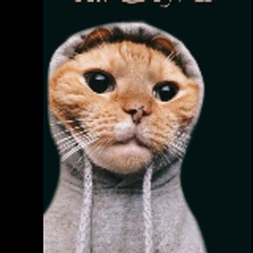 LOL Pets