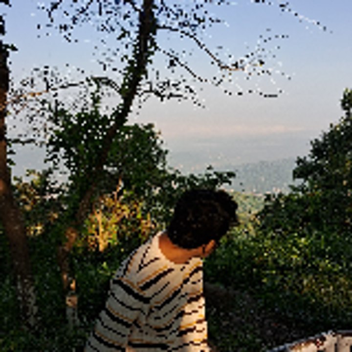 Dailymotion profile picture for @talukdar