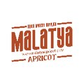 Malatya Apricot
