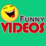 funny videos