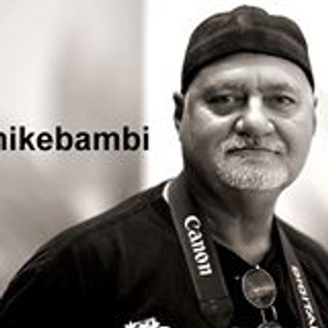 Mike Bambi