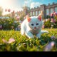 Shortvideos