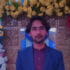 Rizwan Ali