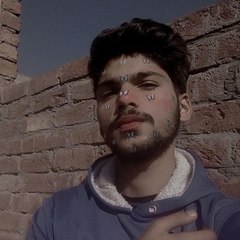Aly Shanawar