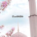 Beautifullifei