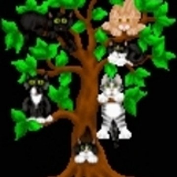 L'Arbre à Chat