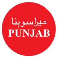Punjab TV