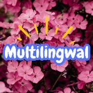 multilingwal