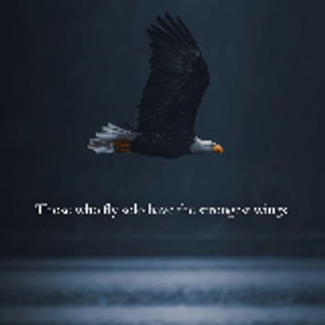 TemptBegin