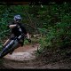 foxman_446