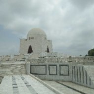 Animals video interest