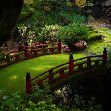 山谷光治