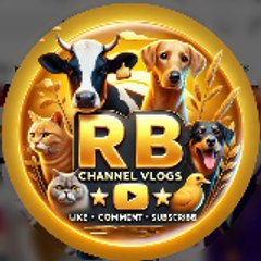 R B CHANNEL VLOGS