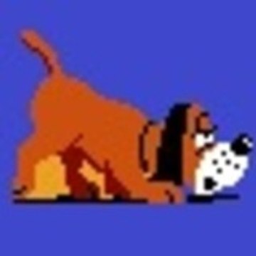 ioggy