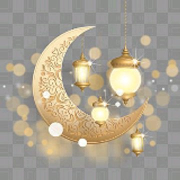 Humera Patel