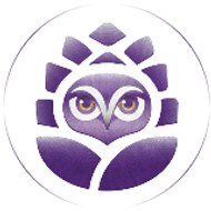 Y A PAS DE HASARD | Mélodie | Médium tarologue