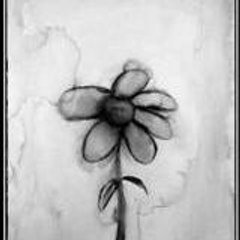 heyflower